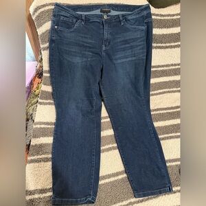 EUC WOMENS LANE BRYANT JEANS
